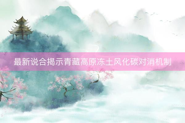 最新说合揭示青藏高原冻土风化碳对消机制
