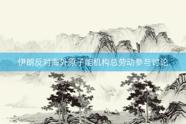伊朗反对海外原子能机构总劳动参与讨论