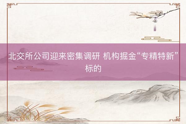 北交所公司迎来密集调研 机构掘金“专精特新”标的