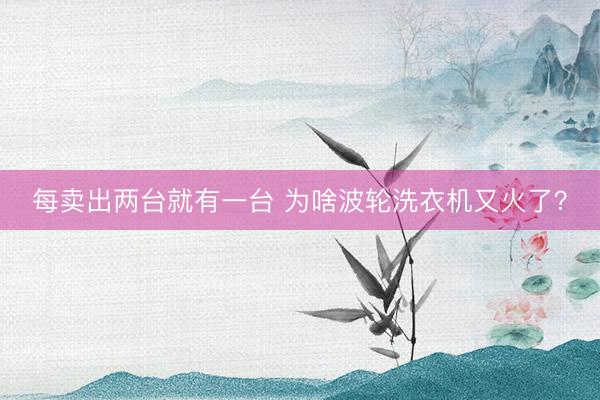每卖出两台就有一台 为啥波轮洗衣机又火了？